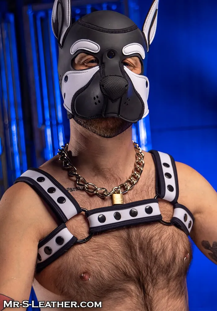 Neo Bold Color Bulldog Harness