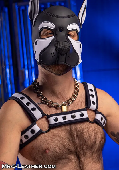 Neo Bold Color Bulldog Harness