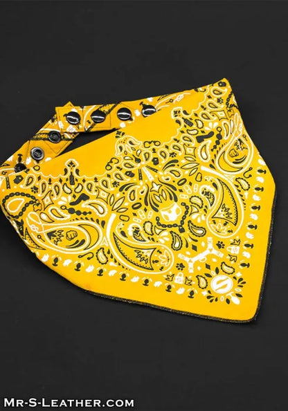 Zipper Pocket Neck Hanky - 10 Colors