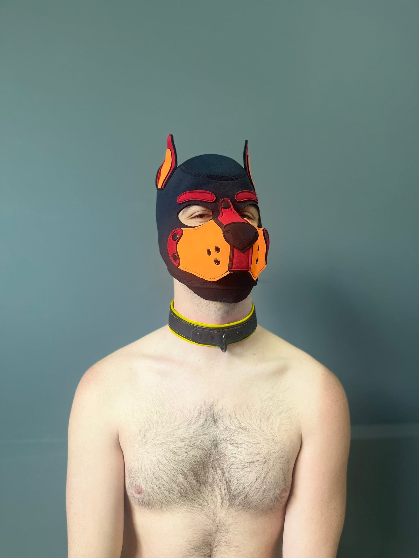 Hardline Collar