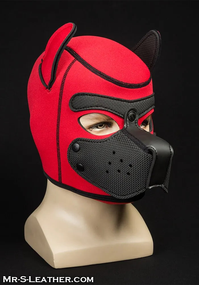 Custom Pup Hood: Build Your Own