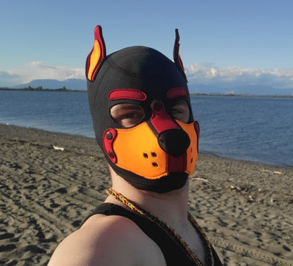 Custom K9 Hood: Build Your Own